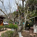 Likya Yanartas Hotel