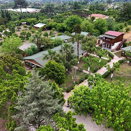 Likya Yanartas Hotel Çıralı