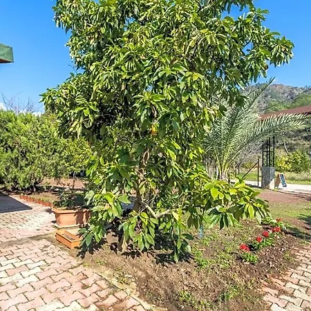 Likya Yanartas * Çıralı