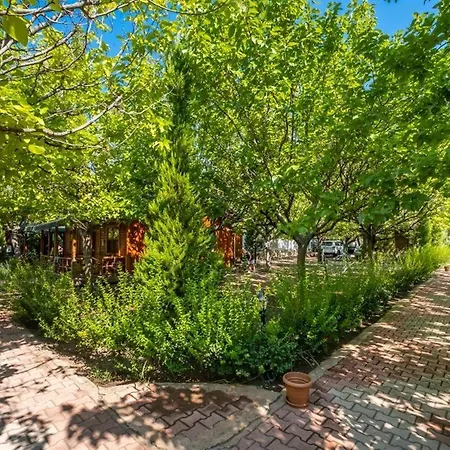 Hotel Likya Yanartas