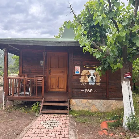 Hotel Likya Yanartas *